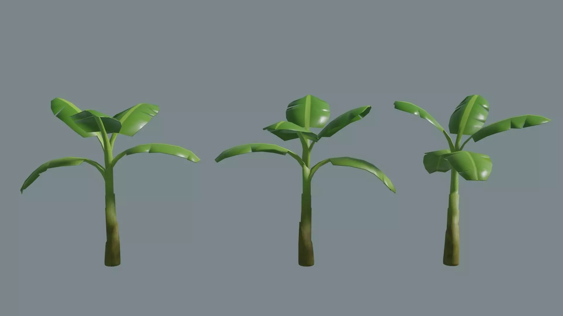 Banana Tree Free low-poly 3D model