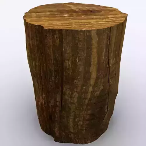 Tree Stump 3D Model 3D model