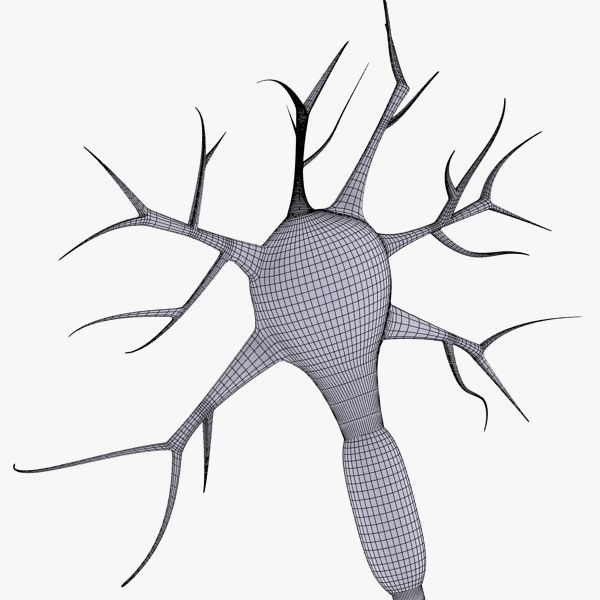 Neuron 3d model Low-poly 3D model_14