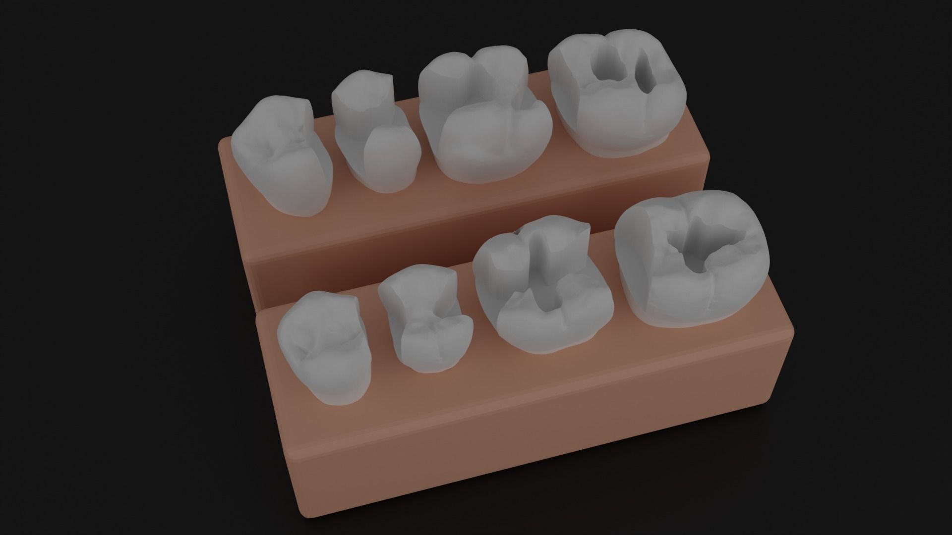 Platform teeth for students 3D print model_6