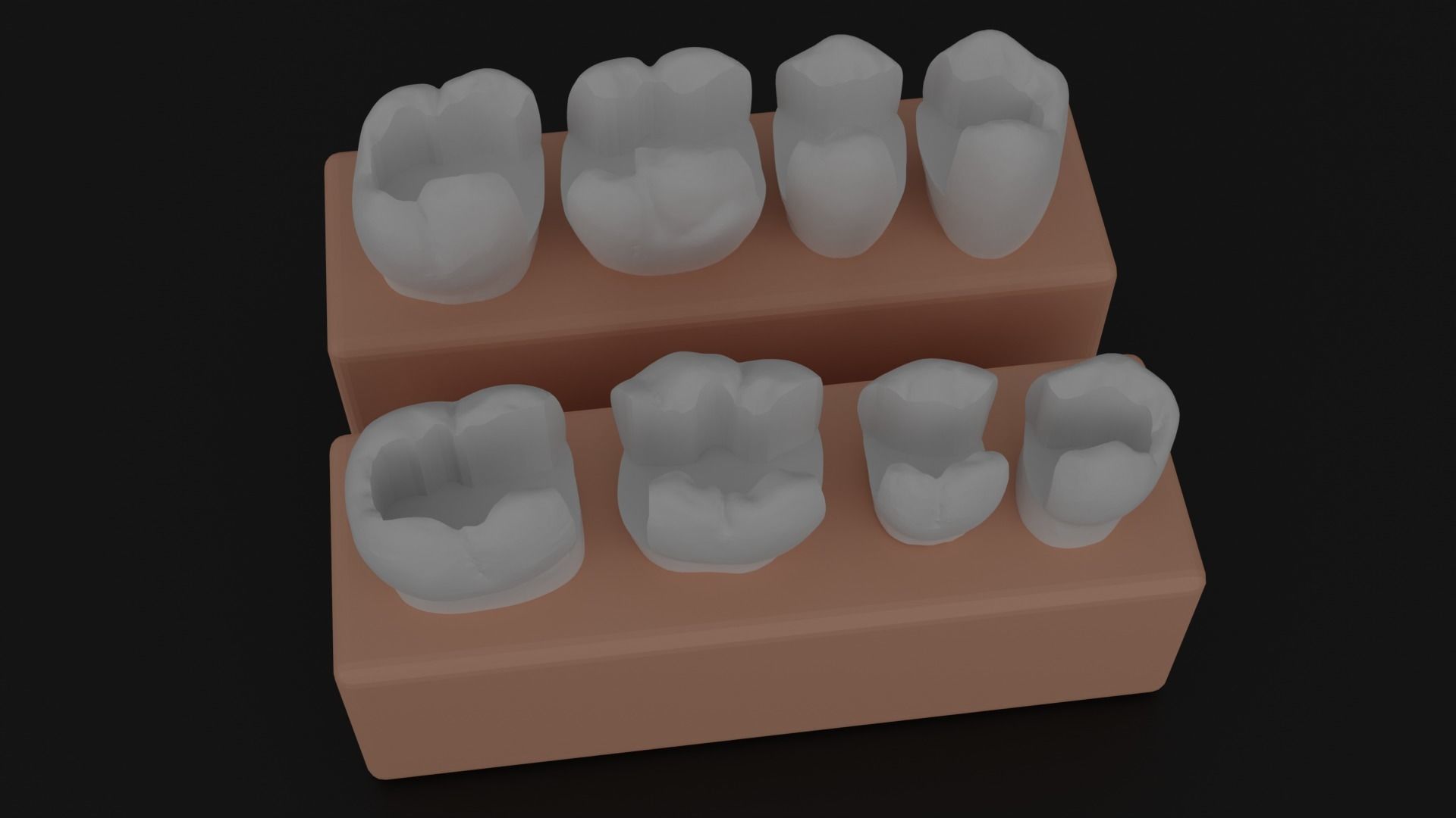 Platform teeth for students 3D print model_7