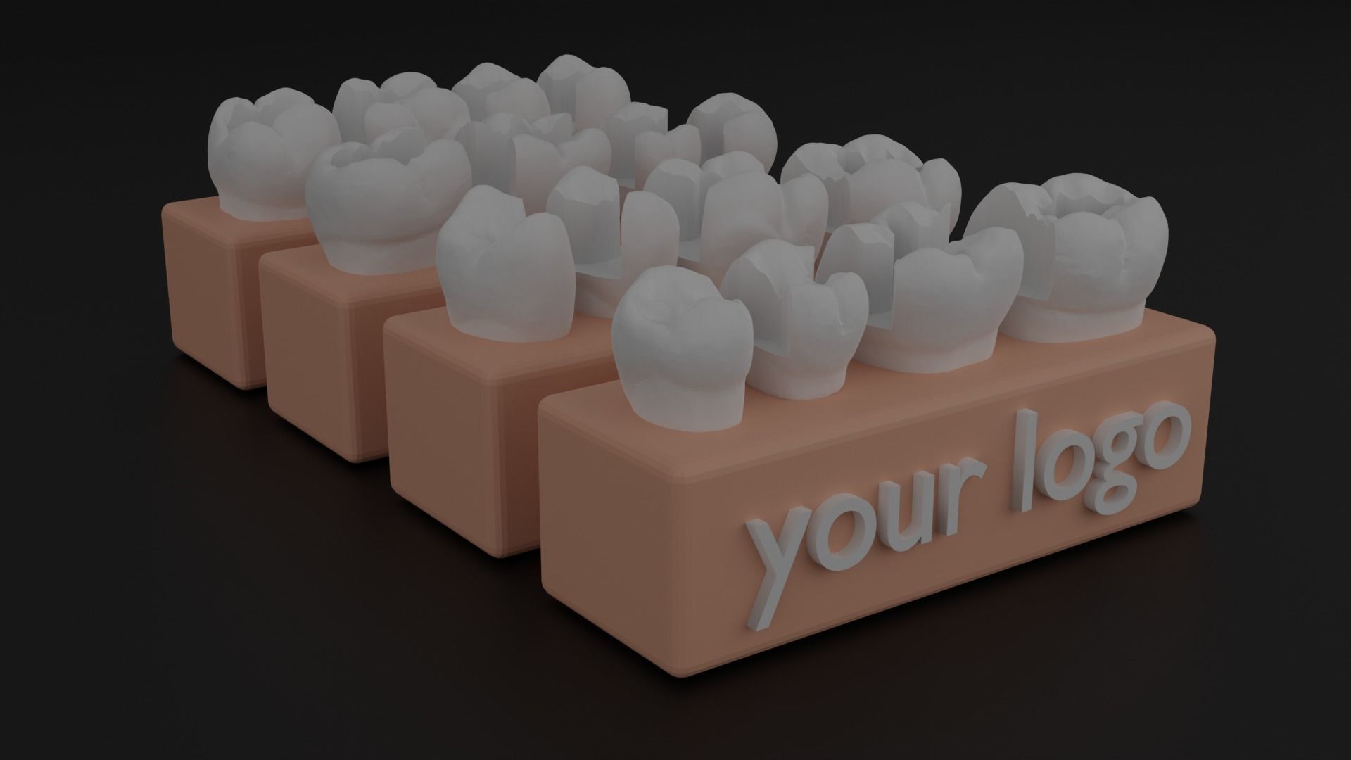 Platform teeth for students 3D print model_1