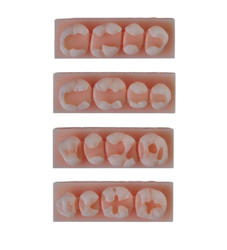 Platform teeth for students 3D print model_12