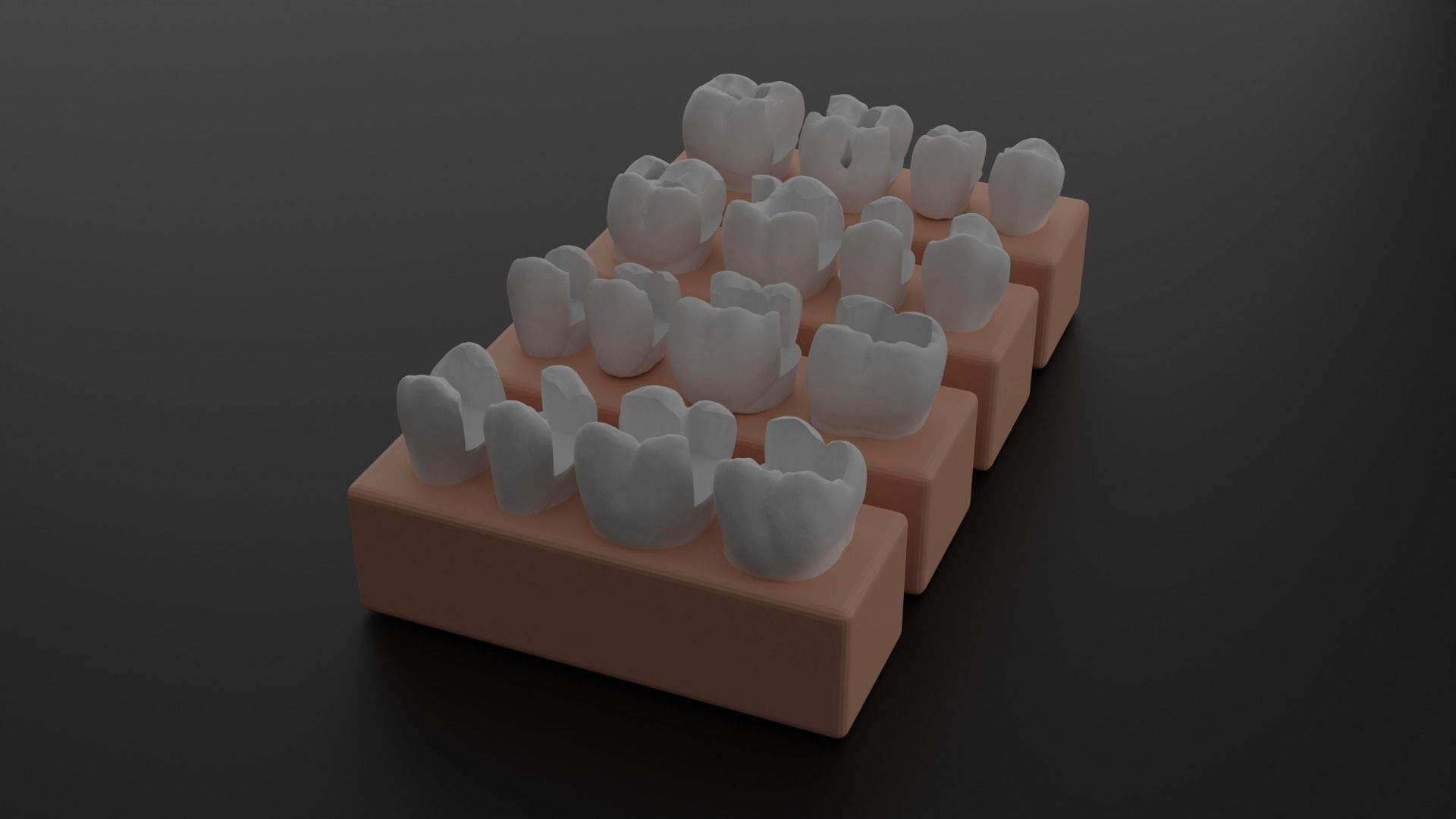 Platform teeth for students 3D print model_10