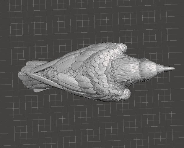 CROW CAWING REALISTIC FIGURE MODEL ANIMAL FIGURE ORNAMENT 3D print model_4