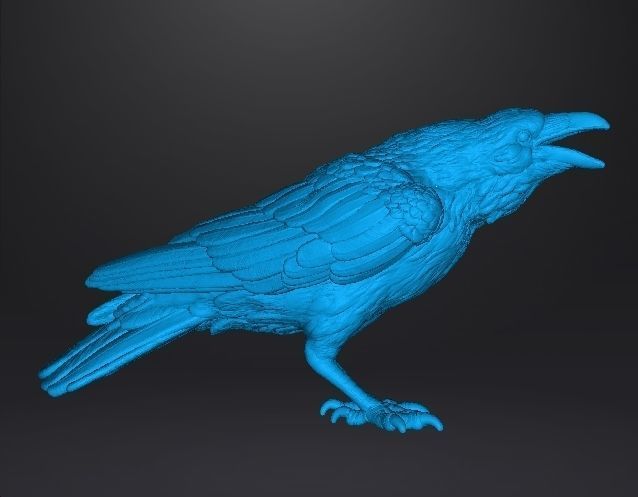 CROW CAWING REALISTIC FIGURE MODEL ANIMAL FIGURE ORNAMENT 3D print model_3