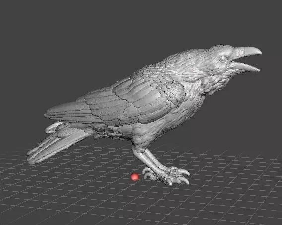 CROW CAWING REALISTIC FIGURE MODEL ANIMAL FIGURE ORNAMENT 3D print model_0