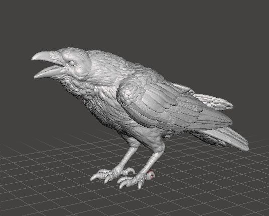 CROW CAWING REALISTIC FIGURE MODEL ANIMAL FIGURE ORNAMENT 3D print model_1