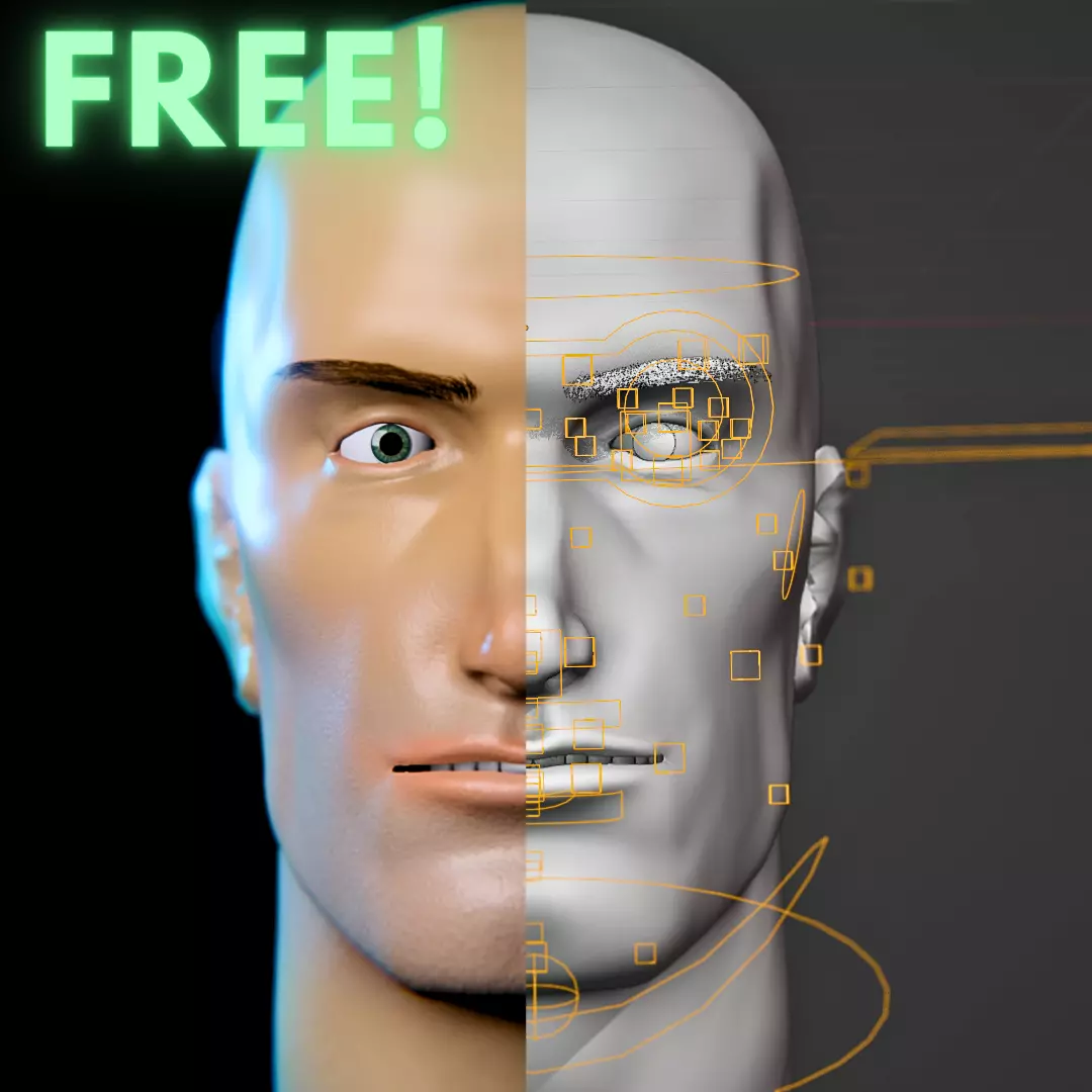 FREE Realistic Male Human Face - Rigged and Textured Free low-poly 3D model