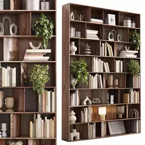 wooden Shelves Decorative With Plants and Book 