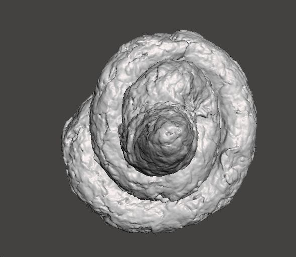 REAL POOP PLASTIC LIFESIZE MODEL FOR JOKES PRANK FRIENDS 3D print model_5