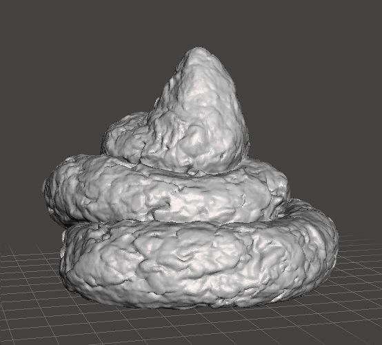 REAL POOP PLASTIC LIFESIZE MODEL FOR JOKES PRANK FRIENDS 3D print model_1