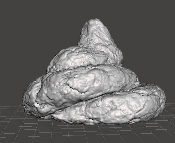 REAL POOP PLASTIC LIFESIZE MODEL FOR JOKES PRANK FRIENDS 3D print model_3