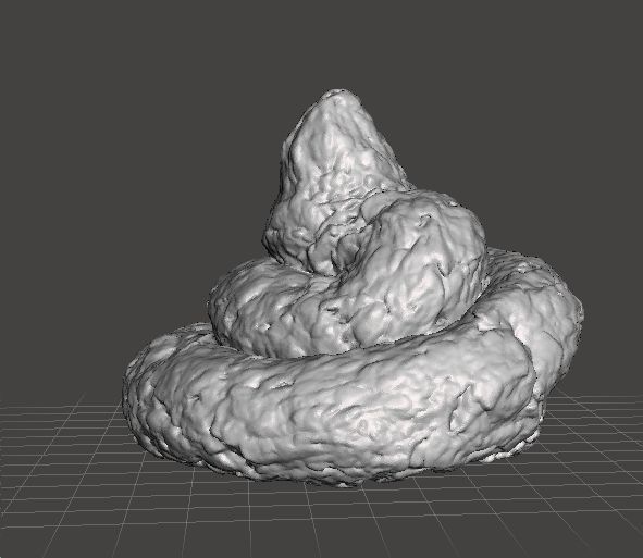 REAL POOP PLASTIC LIFESIZE MODEL FOR JOKES PRANK FRIENDS 3D print model_2