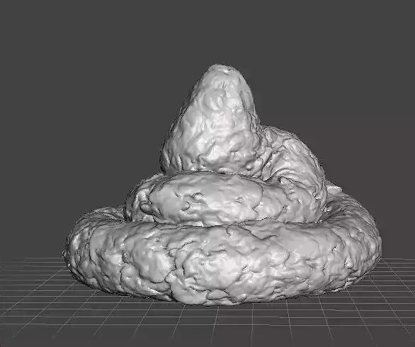 REAL POOP PLASTIC LIFESIZE MODEL FOR JOKES PRANK FRIENDS 3D print model