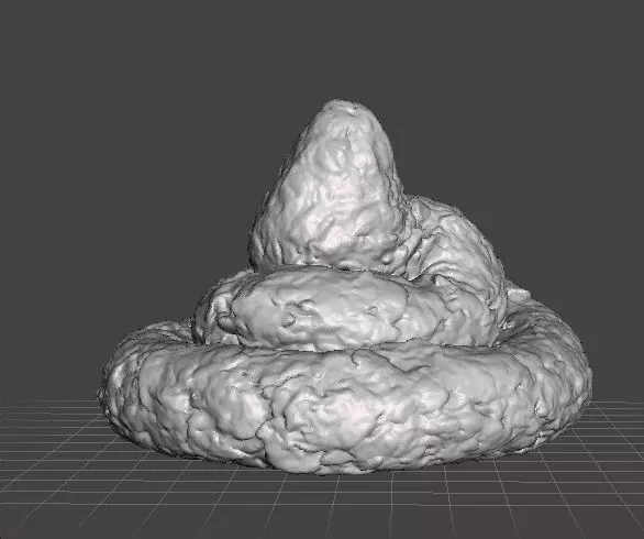 REAL POOP PLASTIC LIFESIZE MODEL FOR JOKES PRANK FRIENDS 3D print model_0