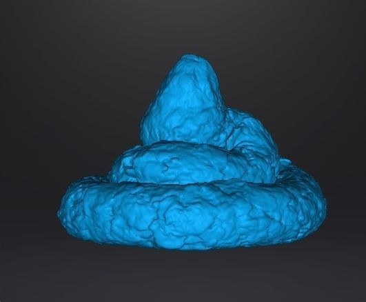 REAL POOP PLASTIC LIFESIZE MODEL FOR JOKES PRANK FRIENDS 3D print model_4