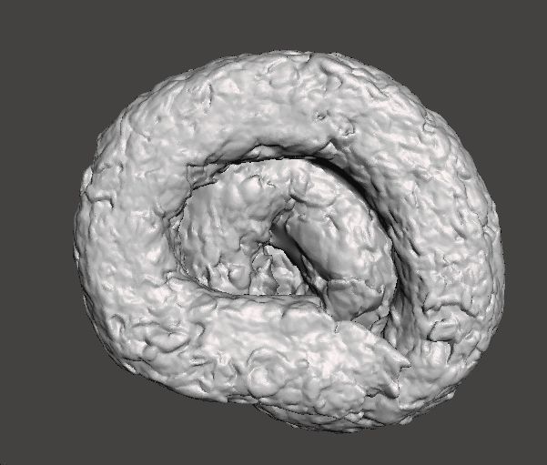 REAL POOP PLASTIC LIFESIZE MODEL FOR JOKES PRANK FRIENDS 3D print model_6