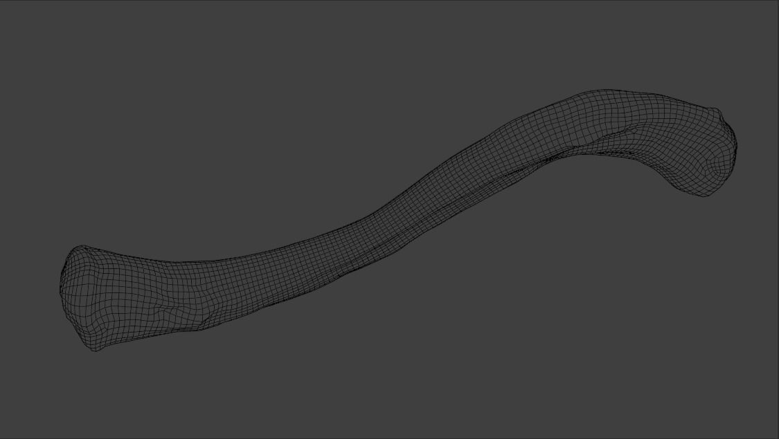 Upper arm bones 3D model_16