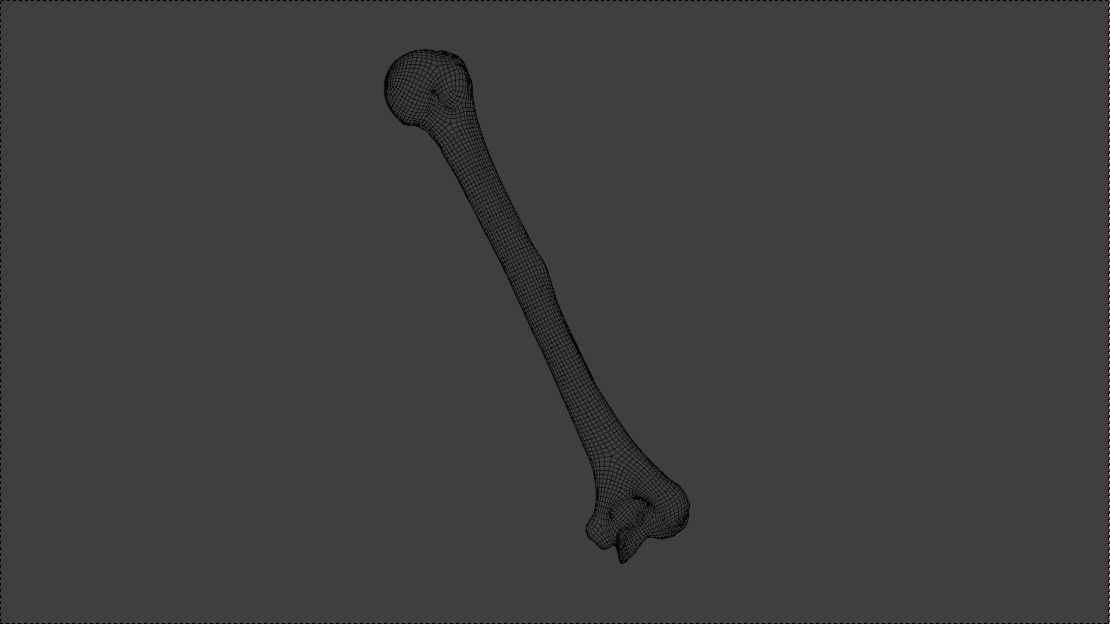 Upper arm bones 3D model_20