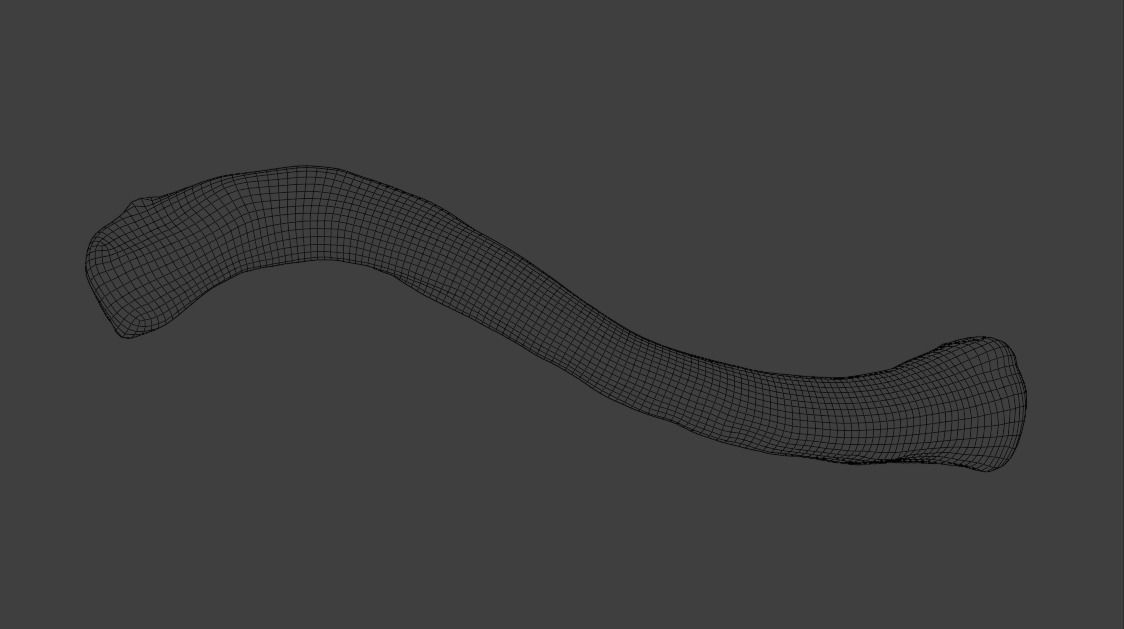 Upper arm bones 3D model_15