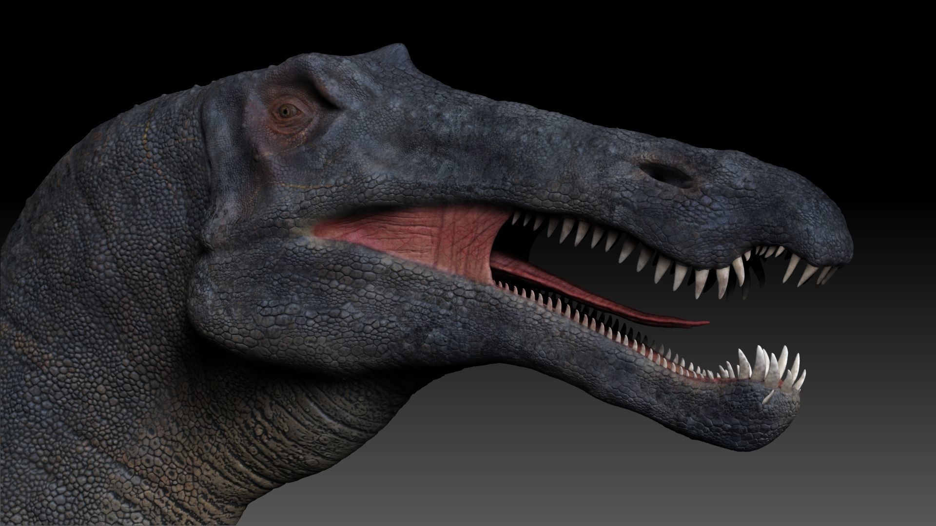 Dinosaur Suchomimus Tenerensis Sculpt Project 3D model_3