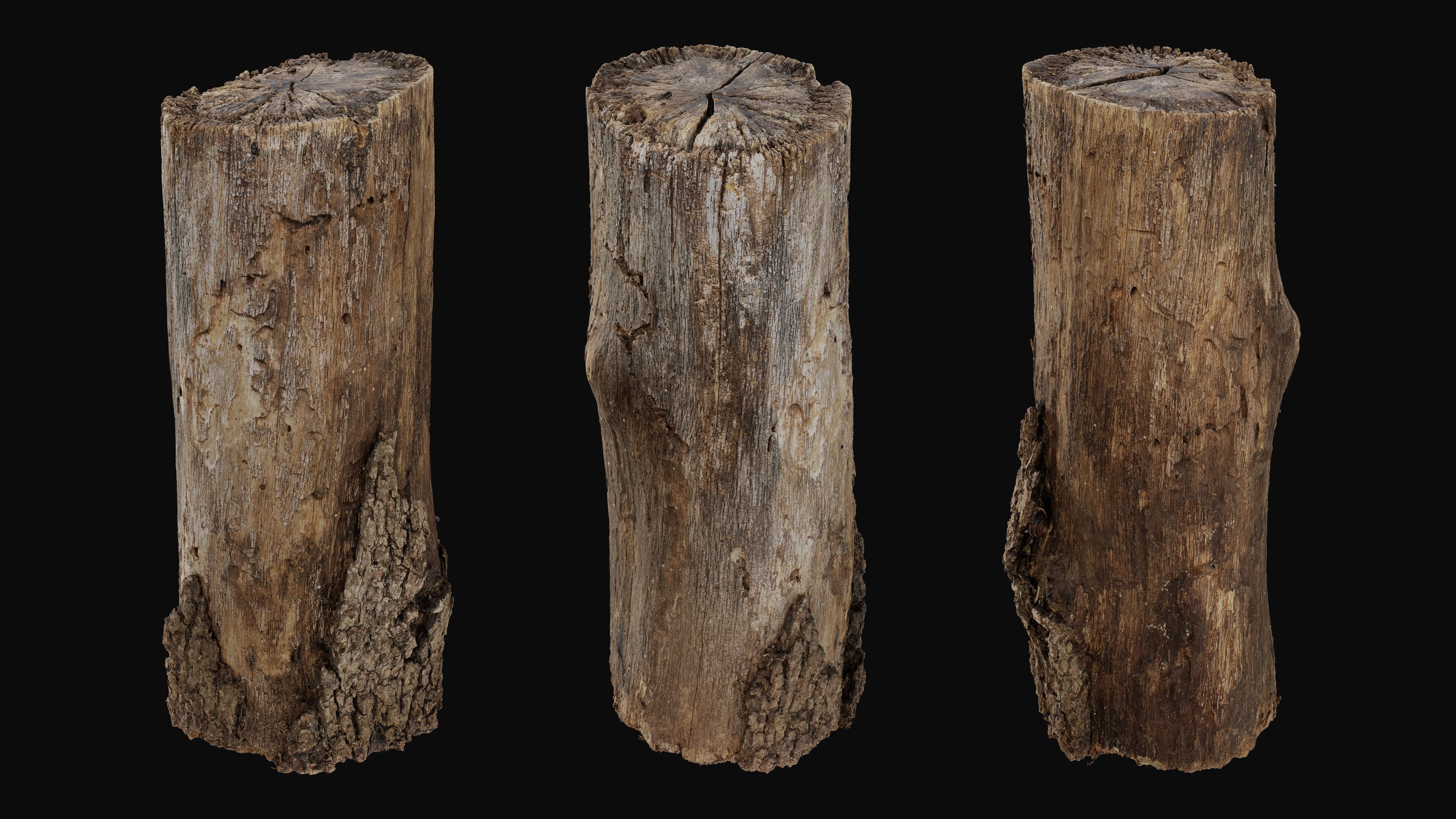 Scanned Props Pack Volume 01 - HeraScans Low-poly 3D model_8