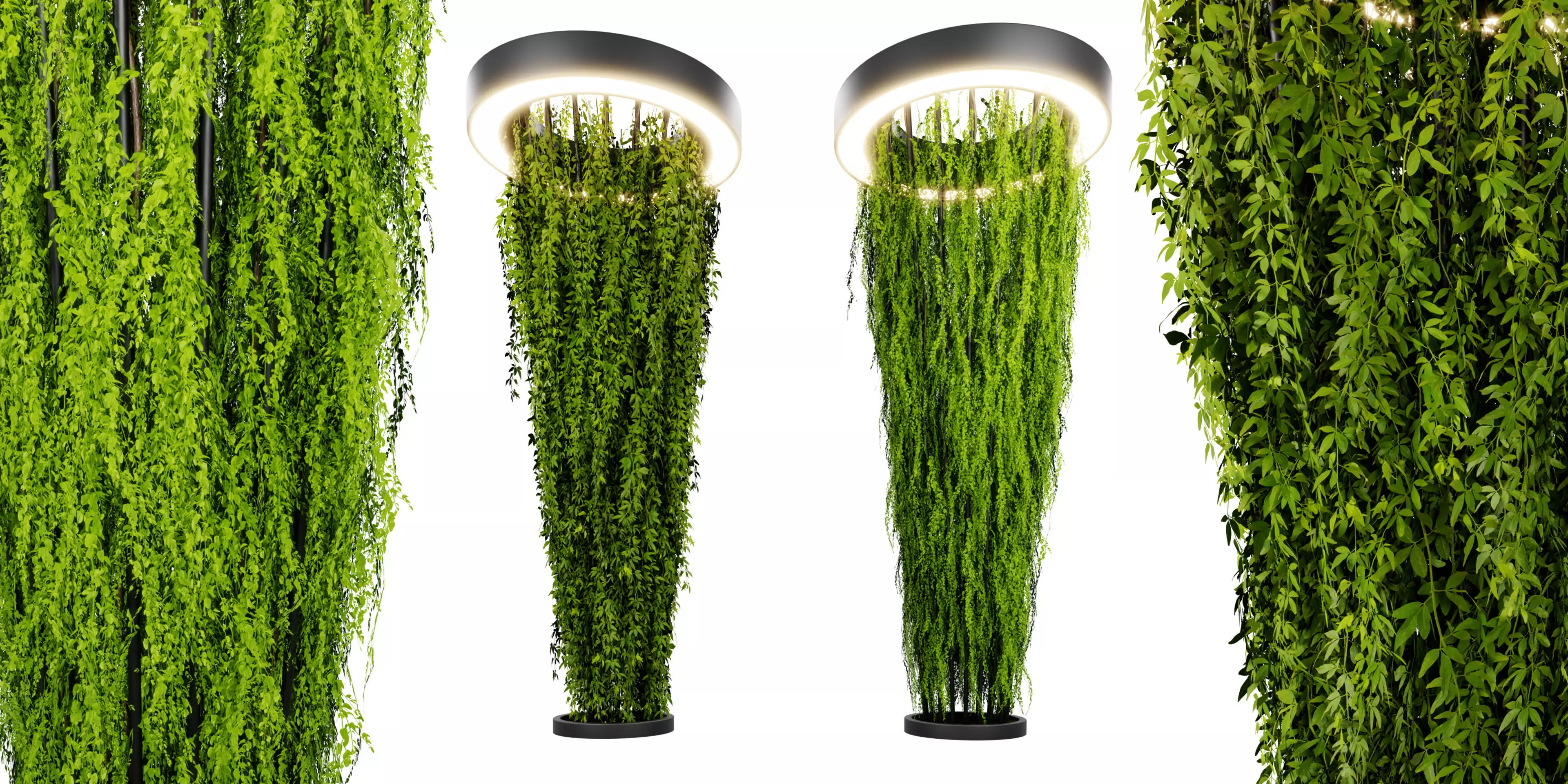 Collection plant vol 542 - blender model 3D model