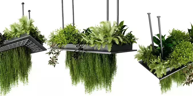 Collection plant vol 543 - blender model 