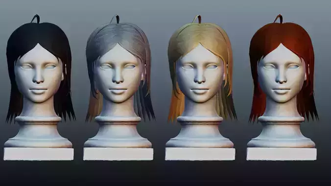Female hair 4 colors