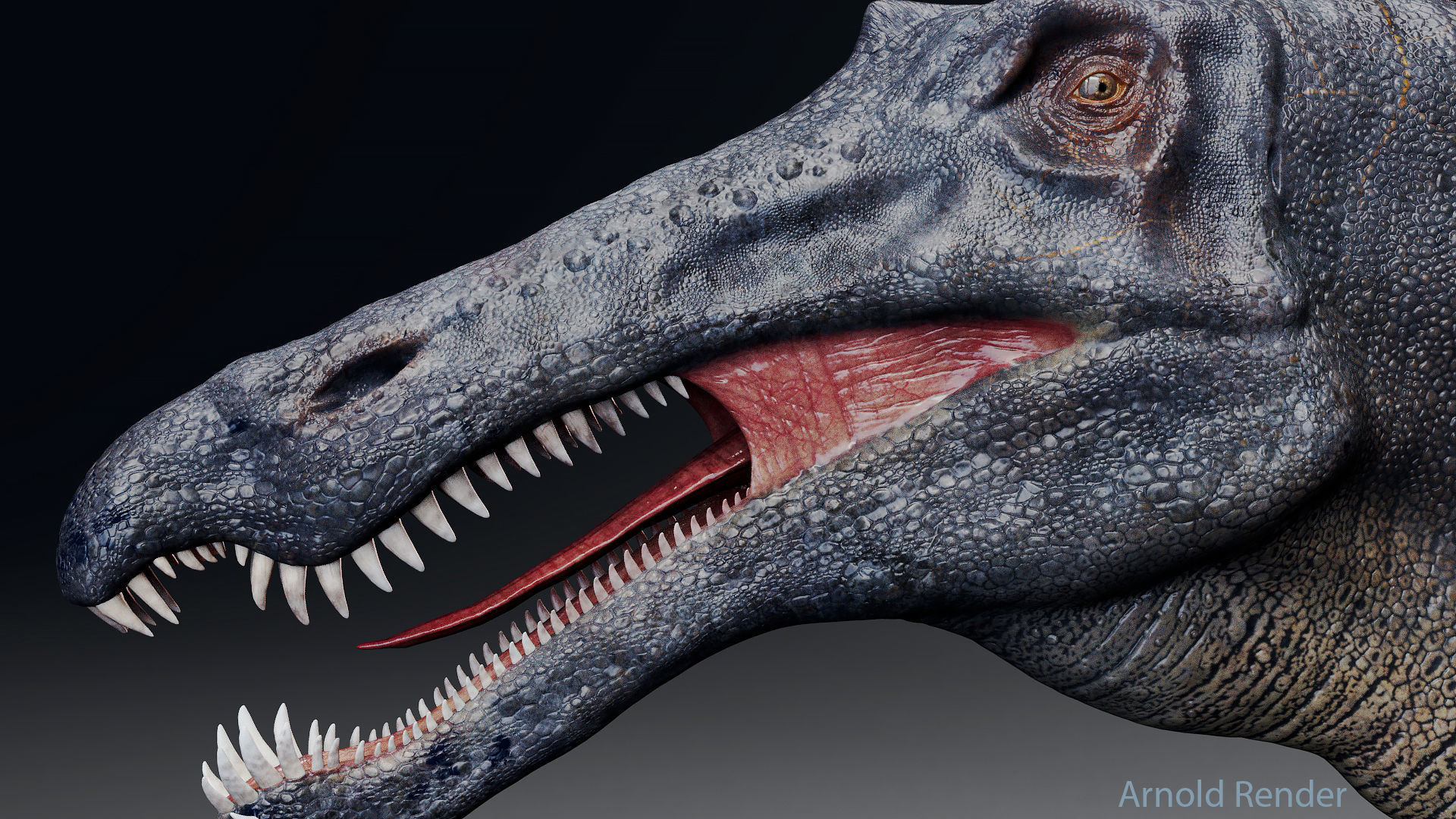 Dinosaur Suchomimus Tenerensis Unreal Engine and Unity Project Low-poly 3D model_6