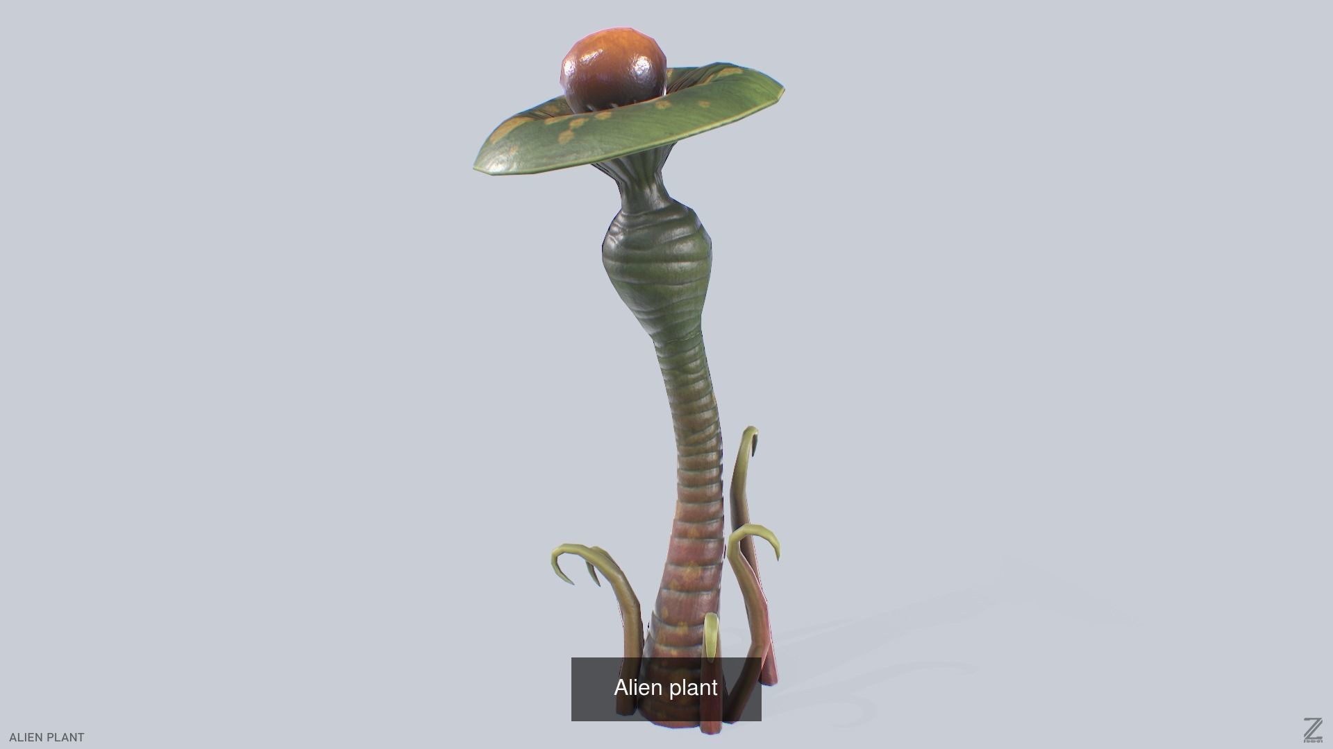 Alien plant collection _13
