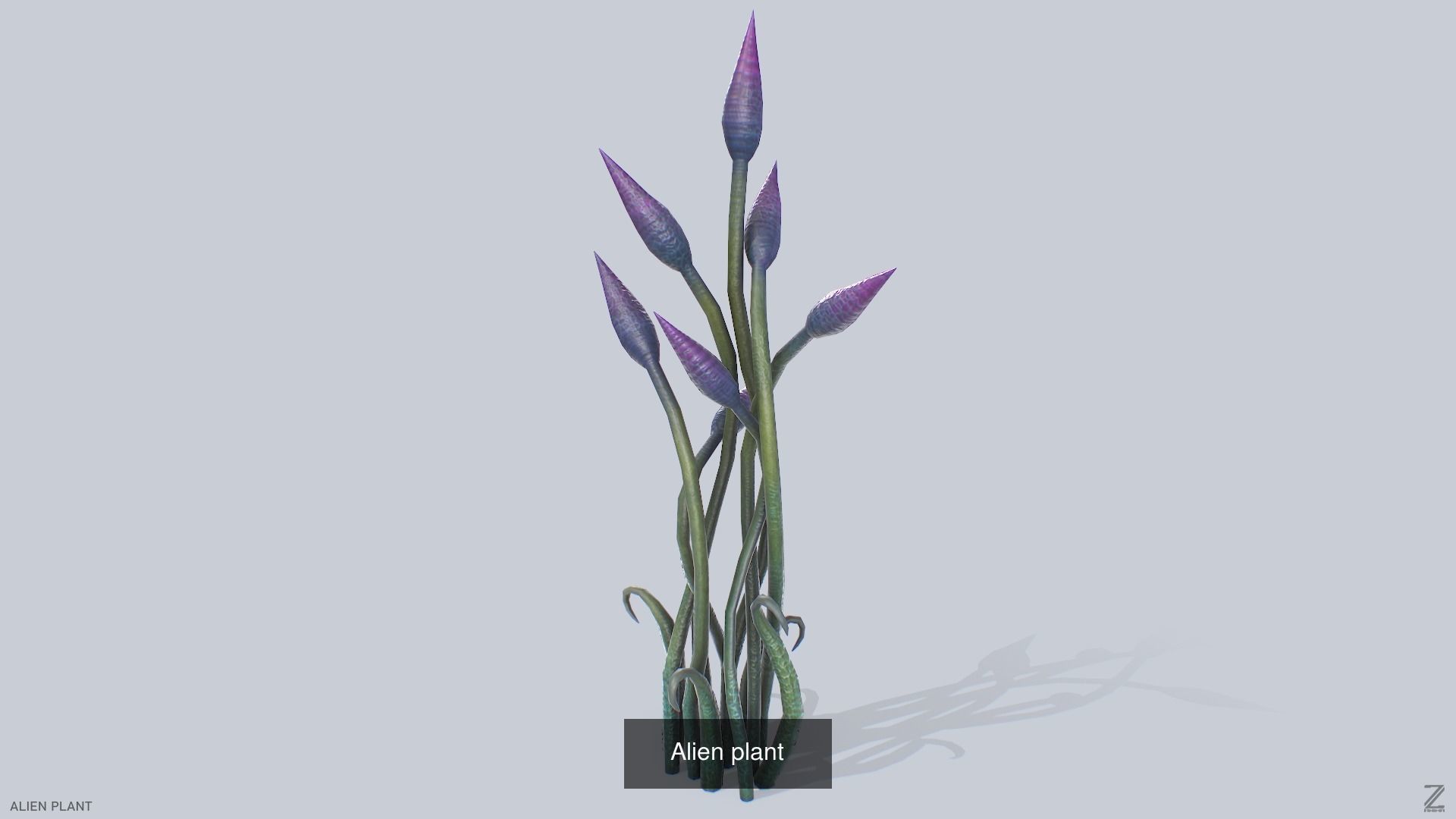 Alien plant collection _19