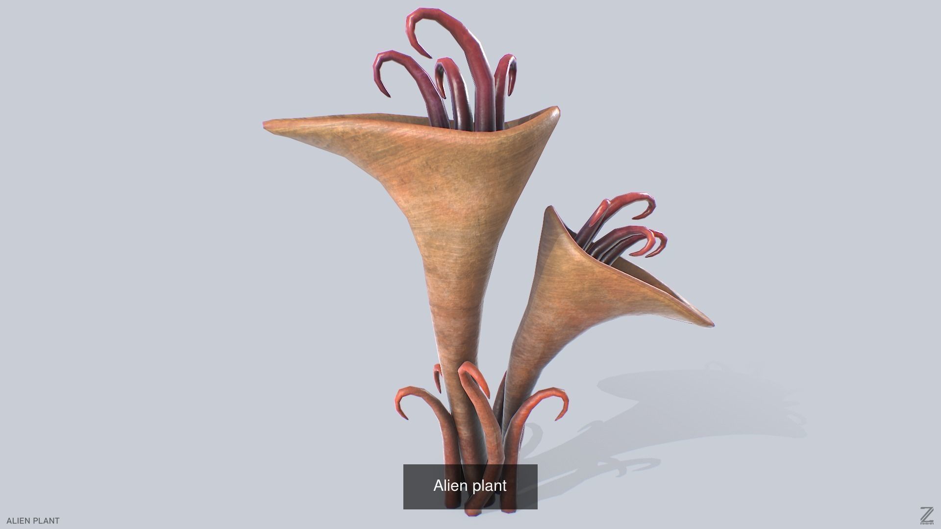 Alien plant collection _17