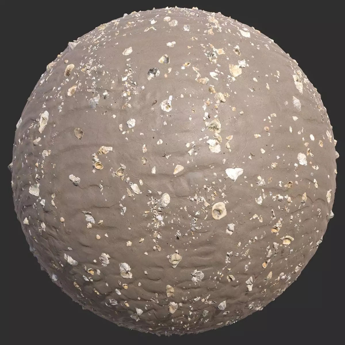 Broken Seashells on Rippled Sand Pbr 4k Texture Texture_0