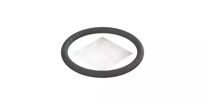 O Ring Vedabras 13016