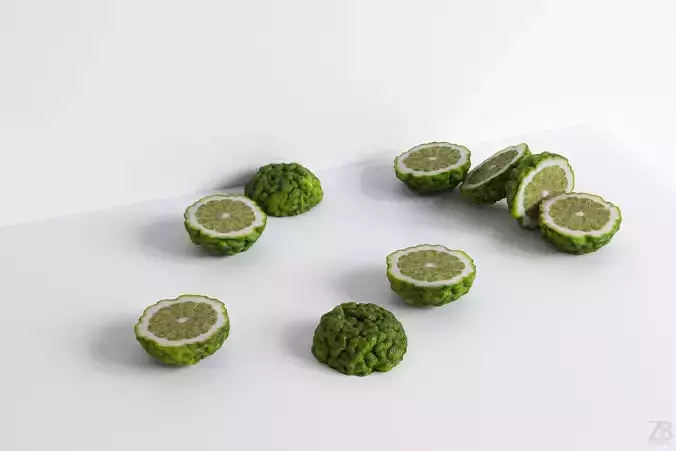 Lime  3D model