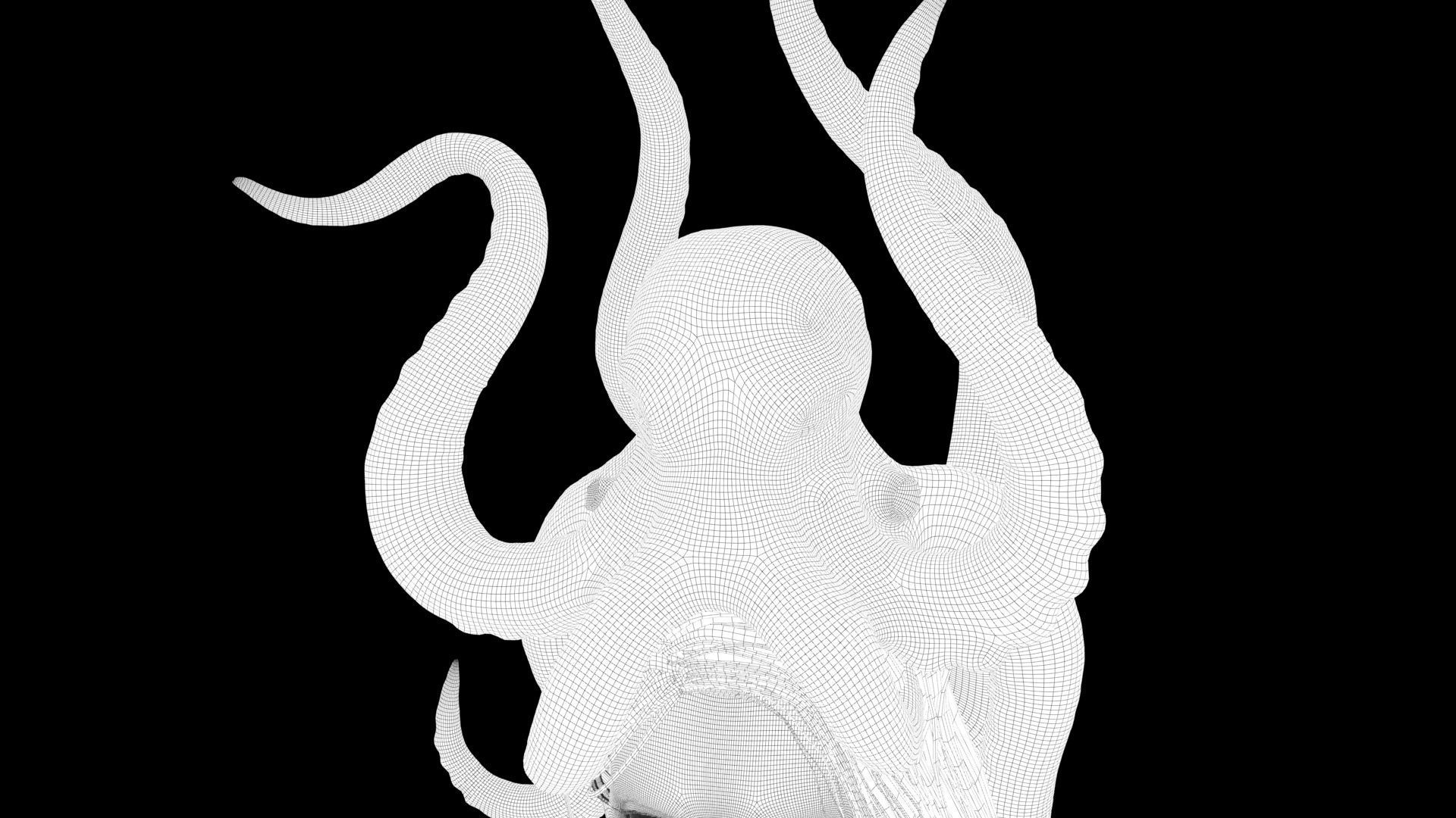 Octopus Mermaid 3D model_7