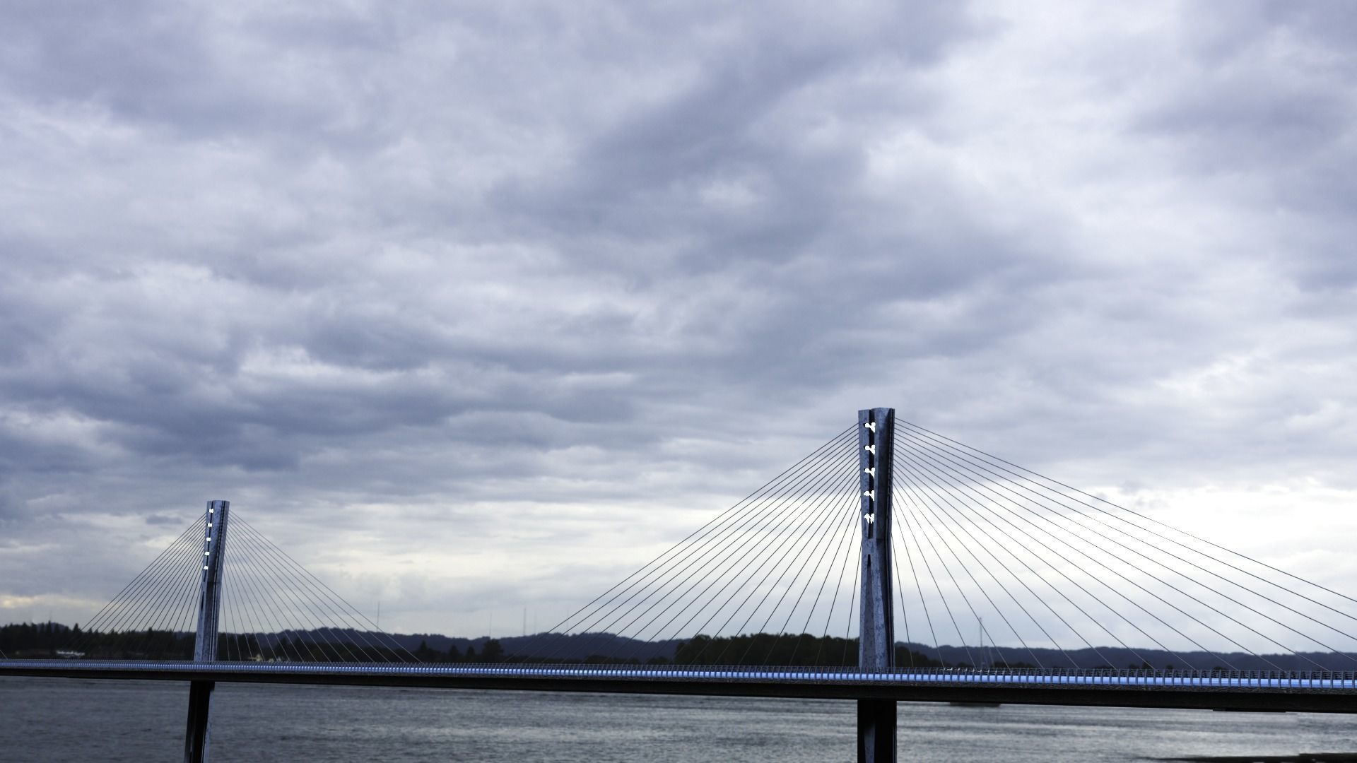 Multispan Cable-Stayed Bridge 3D model_2