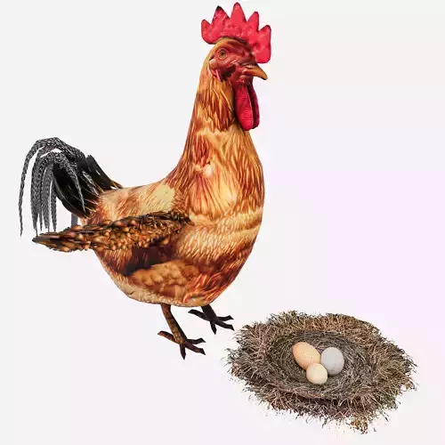 Chicken With Nest Low-poly 3D model