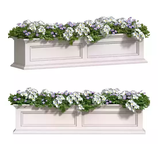 Window and Balcony Flower Box 