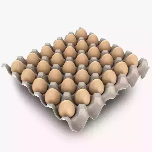 Pulp Egg Tray 30 Egges Low-poly 3D model