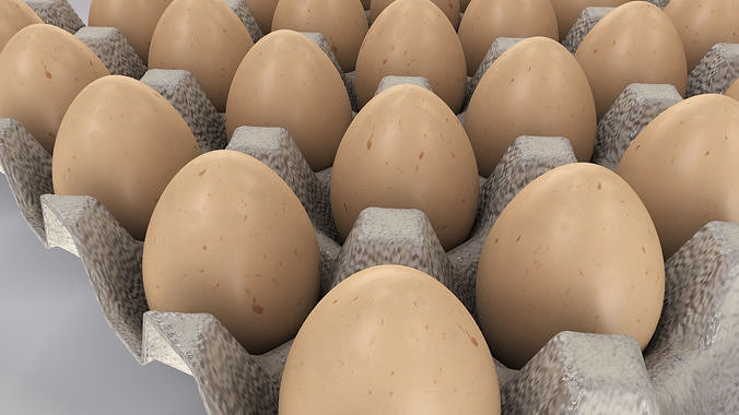 Pulp Egg Tray 30 Egges Low-poly 3D model 4