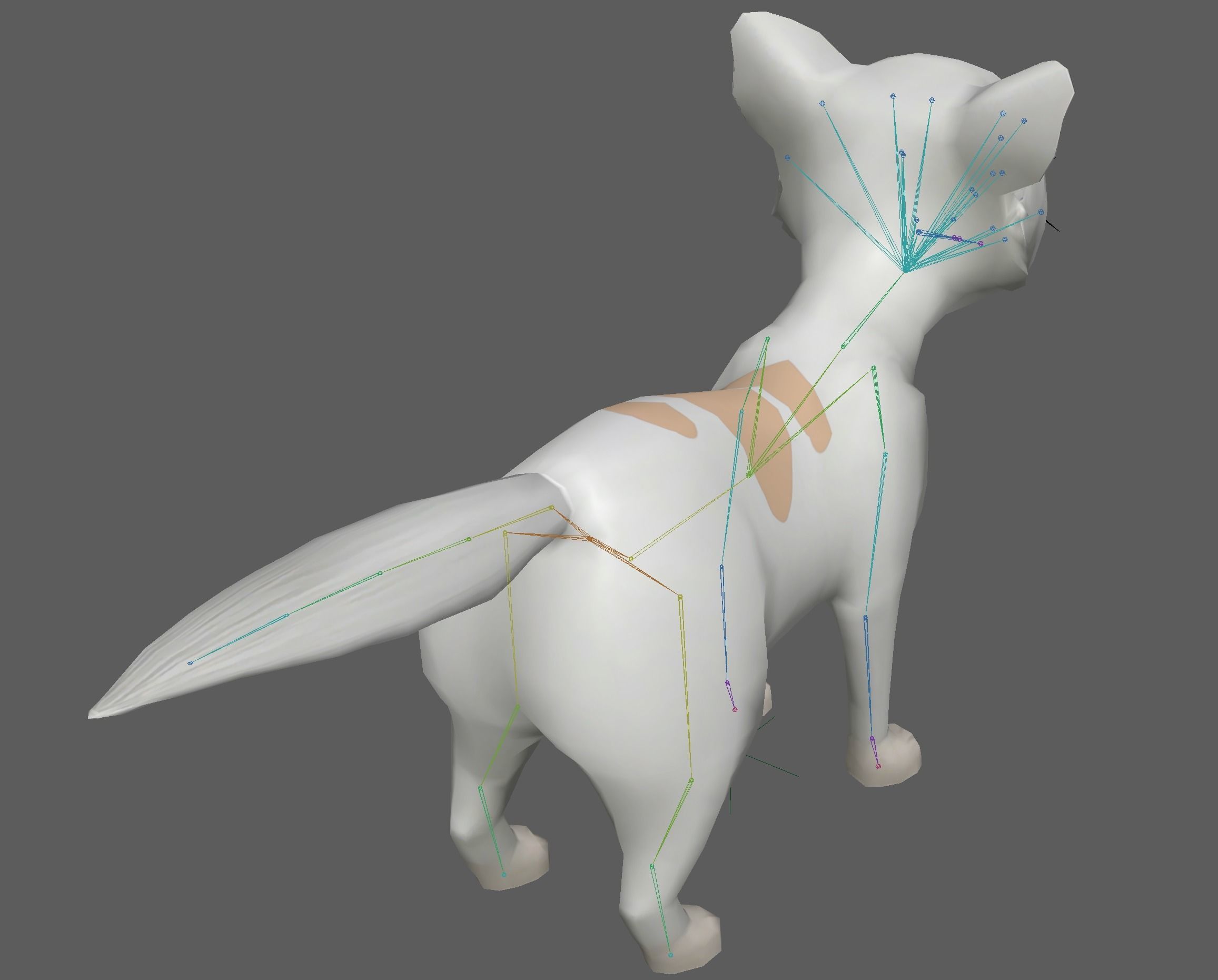 Cartoon Cat Low-poly 3D model_15