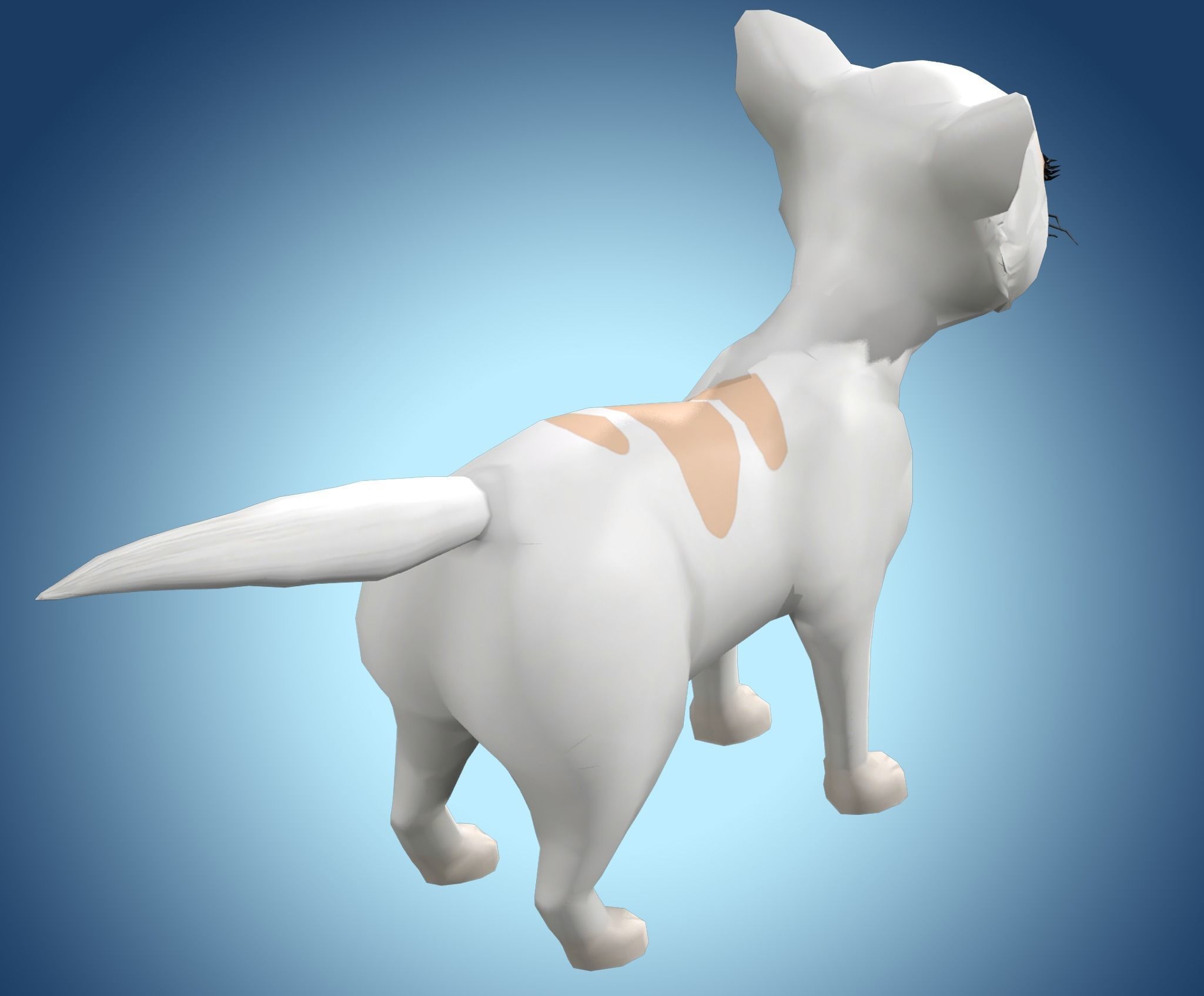 Cartoon Cat Low-poly 3D model_2