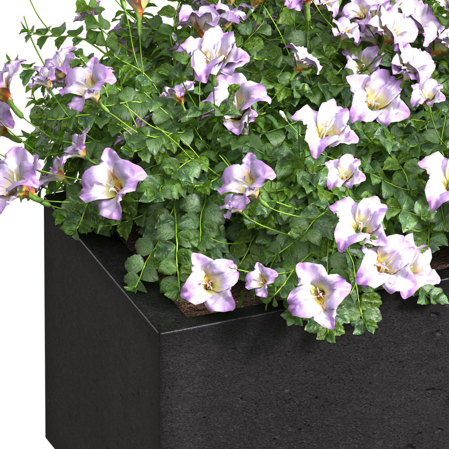 Window and Balcony Flower Box Pot 3D model_1