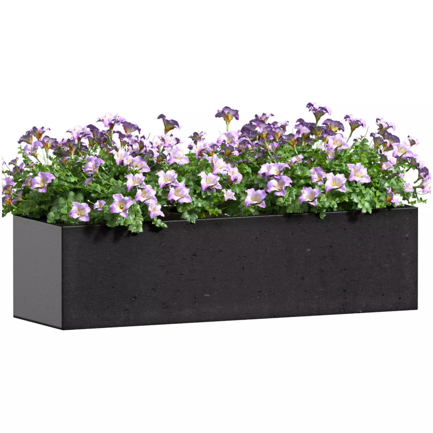 Window and Balcony Flower Box Pot 3D model_0
