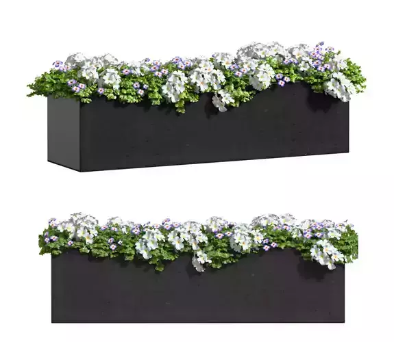 Window and Balcony Flower Box Pot