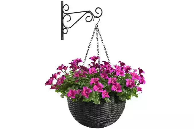Hanging basket flowerpot rattan pot with flowers