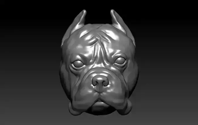 American Pitbull dog model